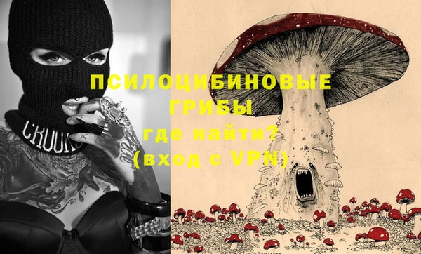 гидра Лагань