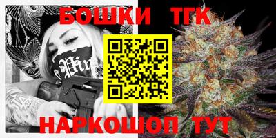 индика Беслан