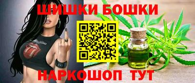 индика Беслан