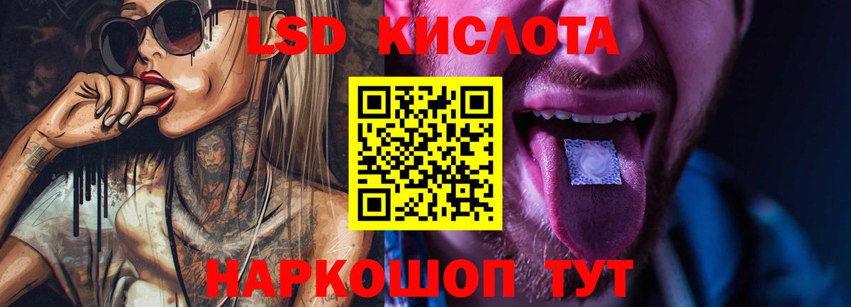 Галлюциногенные грибы Добрянка