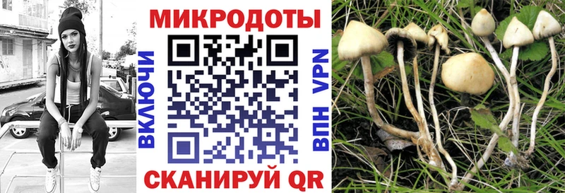 Галлюциногенные грибы MAGIC MUSHROOMS  хочу наркоту  Добрянка 