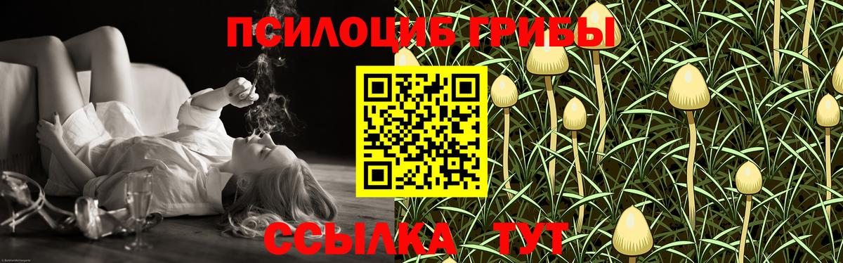 Галлюциногенные грибы Psilocybine cubensis Добрянка