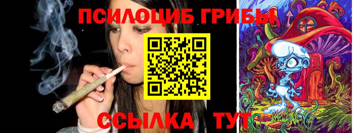 Добрянка  Галлюциногенные грибы MAGIC MUSHROOMS  Вход с VPN 