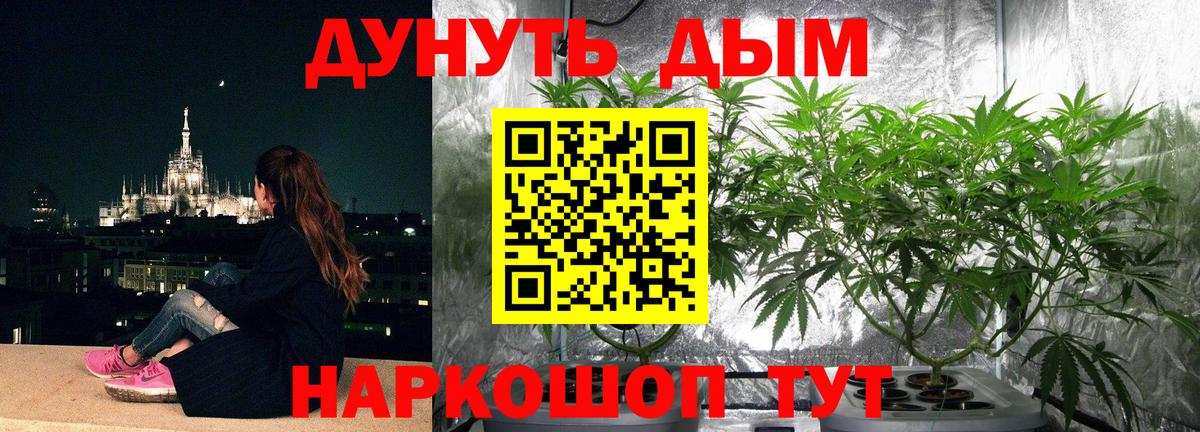 Добрянка  Канабис OG Kush  Бошки Шишки MAZAR  Марихуана семена  Вход с VPN 